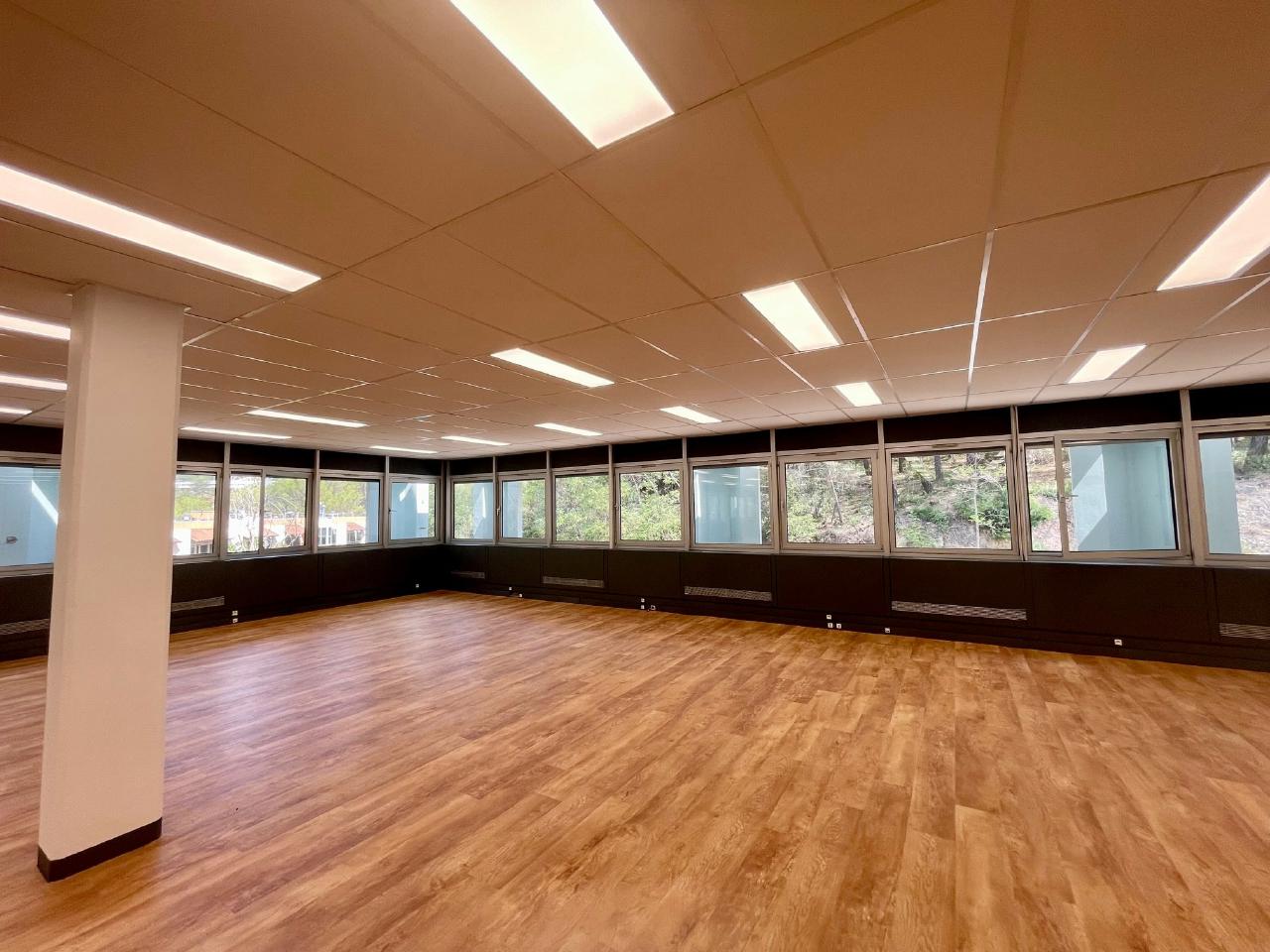 Local d'activité Sophia Antipolis 1329m² Location local d'activité Sophia Antipolis Alpes-Maritimes OLACT2317493 23